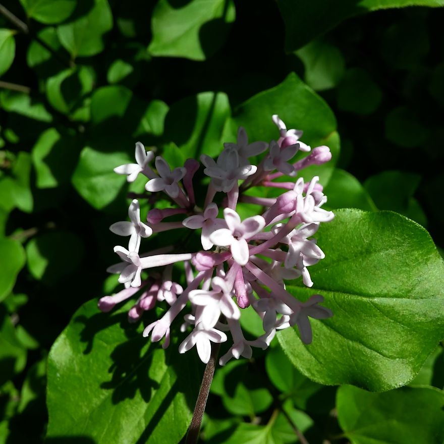 I Walk Every Weekend In My City's Downtown To Enjoy The Weather And Snap A Couple Pics Or Two