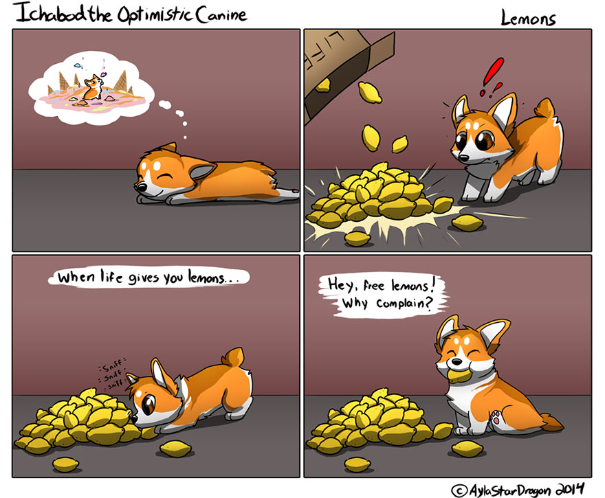 Ichabod The Optimist Canine