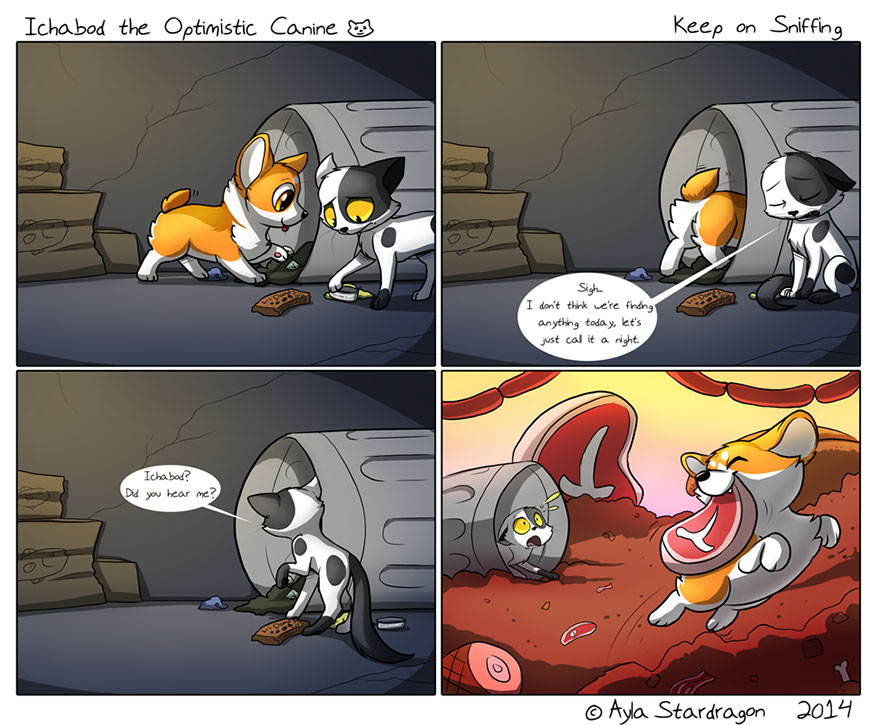 Ichabod The Optimist Canine