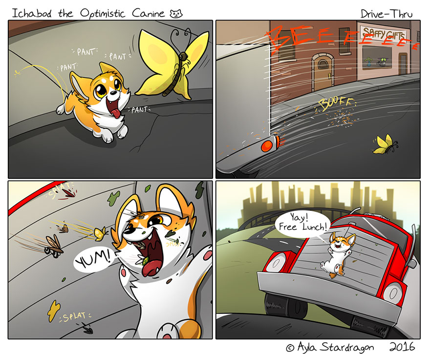 Ichabod The Optimist Canine