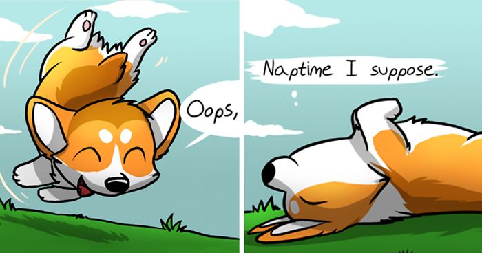 Meet Ichabod, The Most Optimistic Canine That Will Instantly Make You Smile