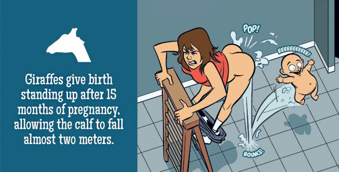 If Humans Gave Birth Like Animals By Paul Westover