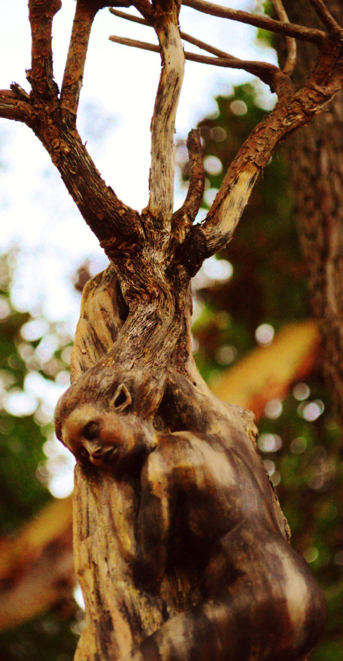 Driftwood-spirit-sculptures-debra-bernier