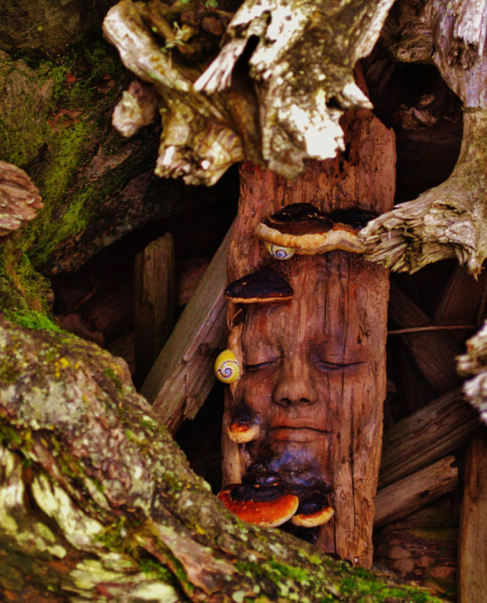 Driftwood-spirit-sculptures-debra-bernier