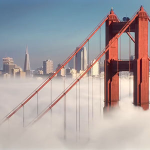 shawarmaturning avatar