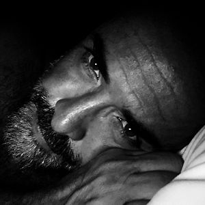 timberwolf1126 avatar