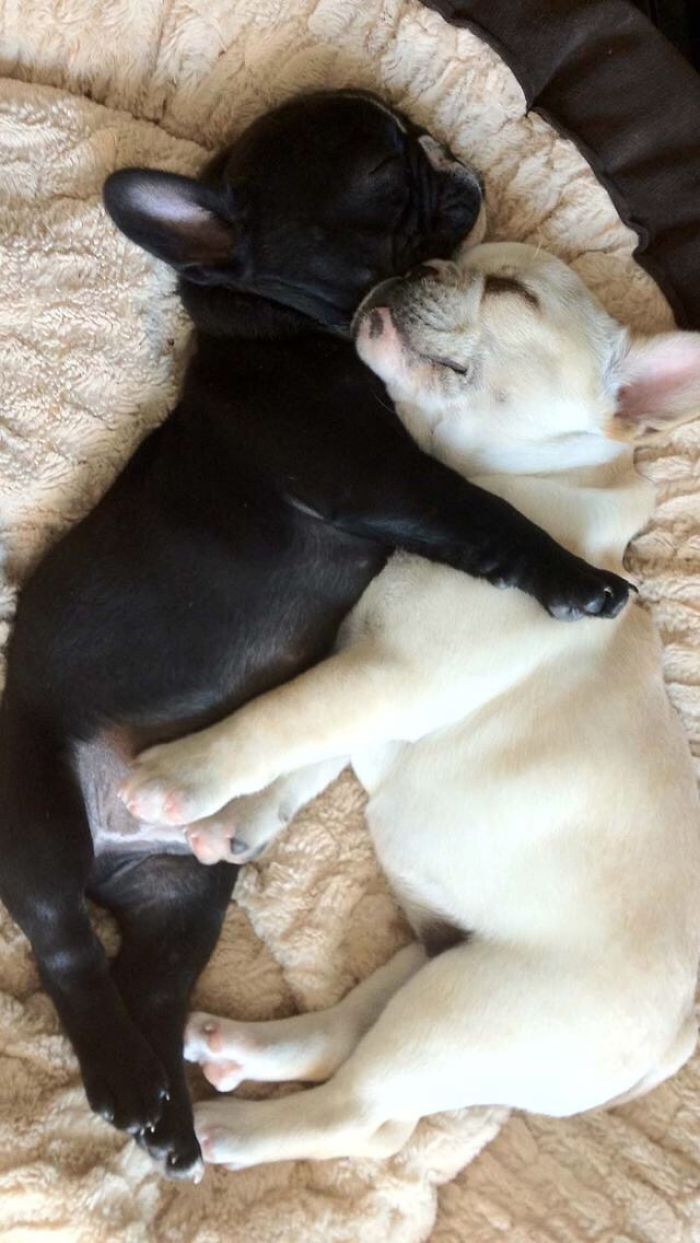 Which One Do U Like Better🤗😘🤔