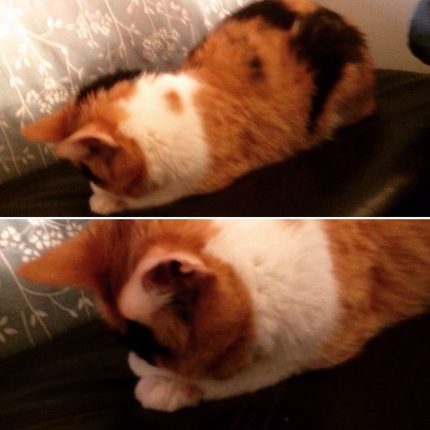 She's Shy, Even When She Sleeps