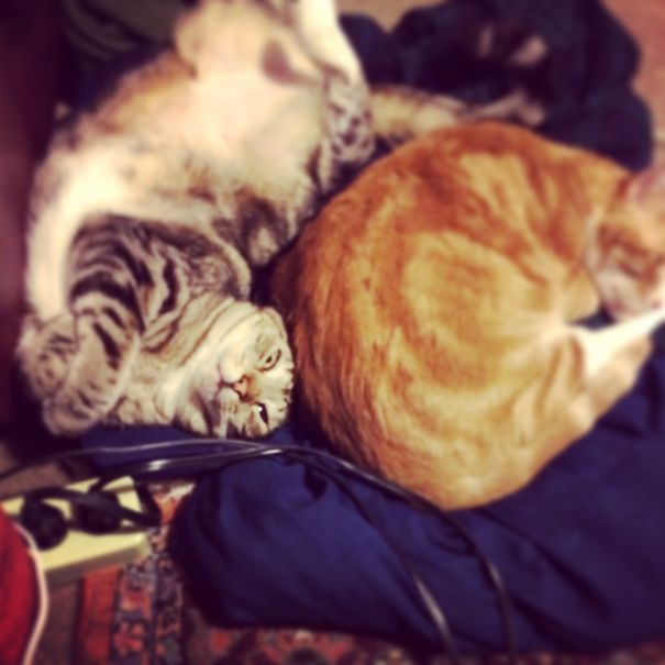 She's Asleep... Eyes Open