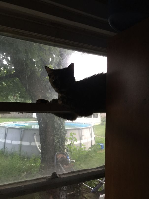 She Was Sleeping... Arms Dangling...