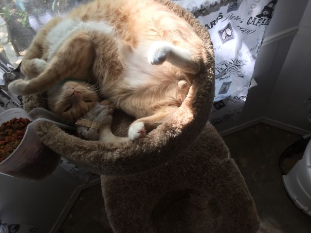 Homers Favorite Spot