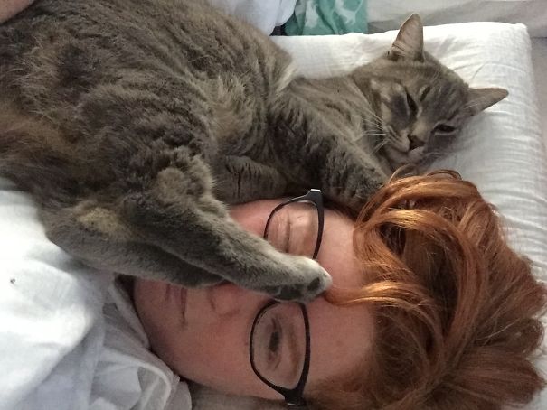 Yup, Yoda, Sure! That's A Great Place To Sleep...