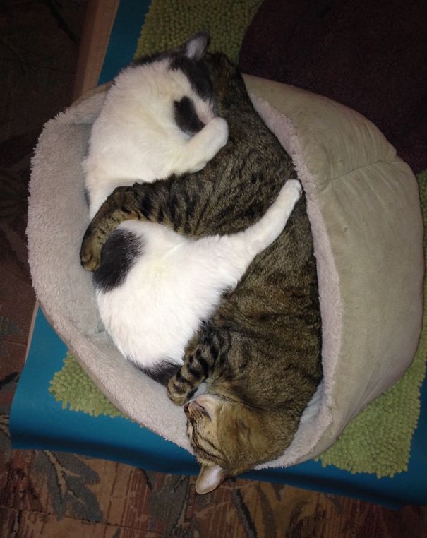 Sepi And Putter - Heads To Butts