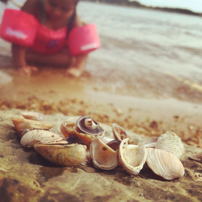 Pictures Keep Memories From Fading.