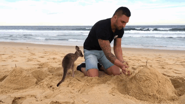 man-kangaroo-friendship-jackson-odoherty-20 man-kangaroo-friendship-jackson-odoherty-20