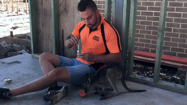 man-kangaroo-friendship-jackson-odoherty-21