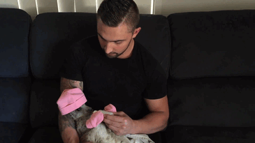 man-kangaroo-friendship-jackson-odoherty-22 man-kangaroo-friendship-jackson-odoherty-22