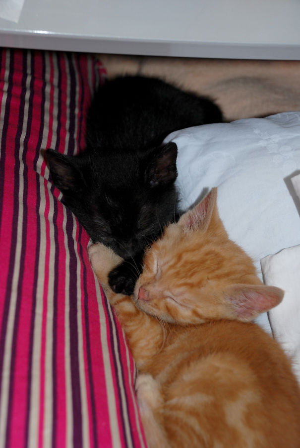 First Night At A New Home