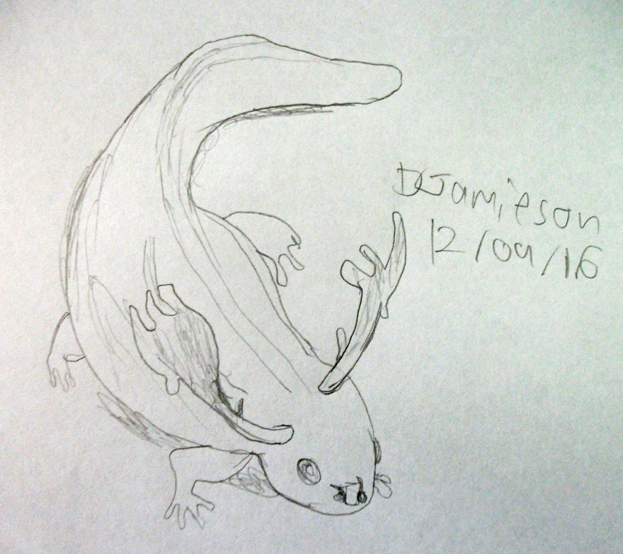 100 Days With Animals