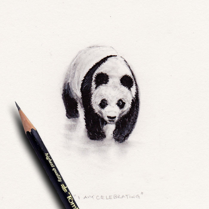 My One Year Commitment