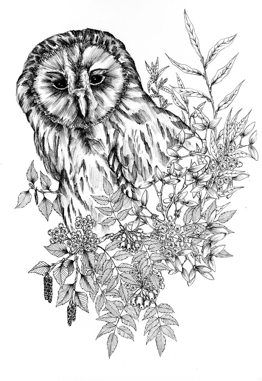 I Merge Animals And Plants Into One Drawing