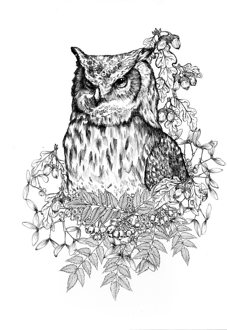 I Merge Animals And Plants Into One Drawing