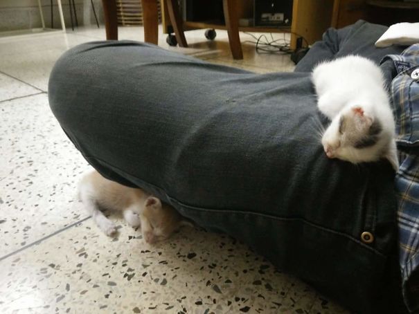 Ground Floor, First Floor