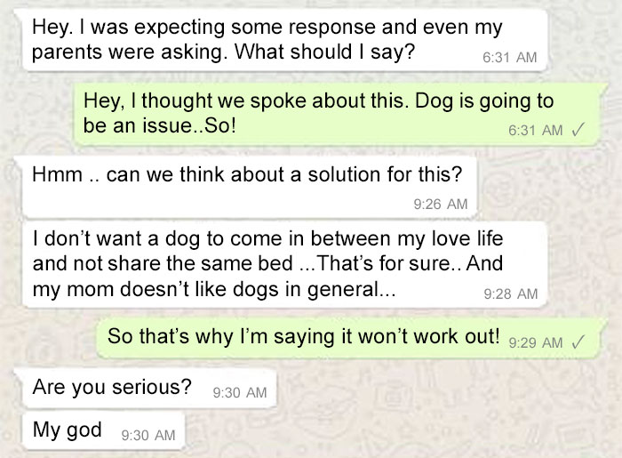 rejected-arranged-marriage-proposal-dog-16