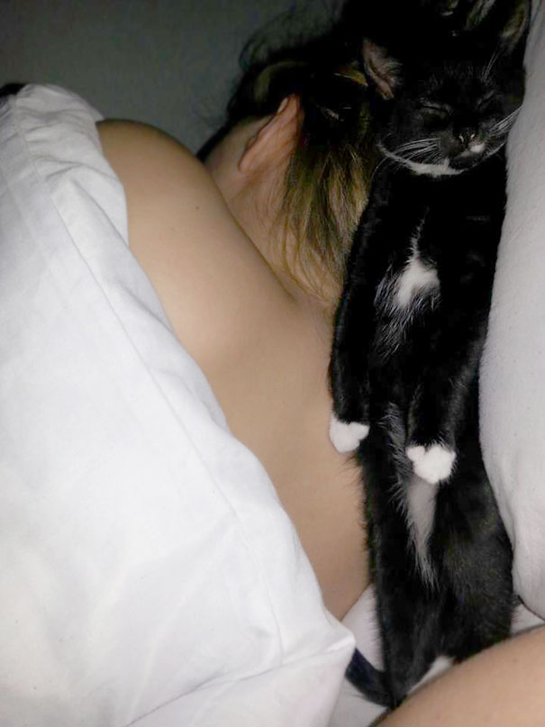 Woke Up This Morning See My Cat Sleeping Like This. Thank God My Gf Didn't Roll Over