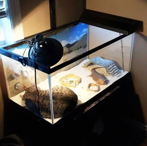 Sharing The Warm Spot