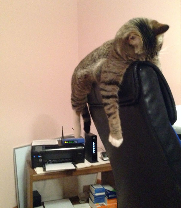 Most Comfortable Sleeping Chair