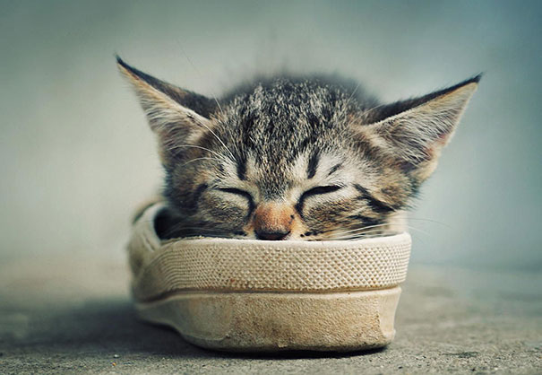 Gremlin Is That You?