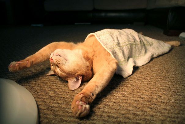 Full Body Relaxation