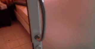 How This Cat Is Sleeping