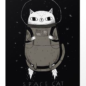 goksentunccan avatar