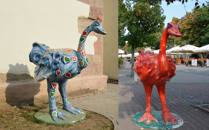 Beep! Beep! In Bistrița, Romania