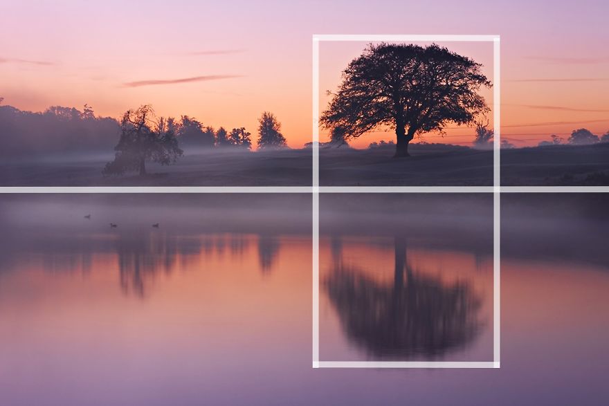 20 Composition Techniques That Will Make Your Photos Look Better