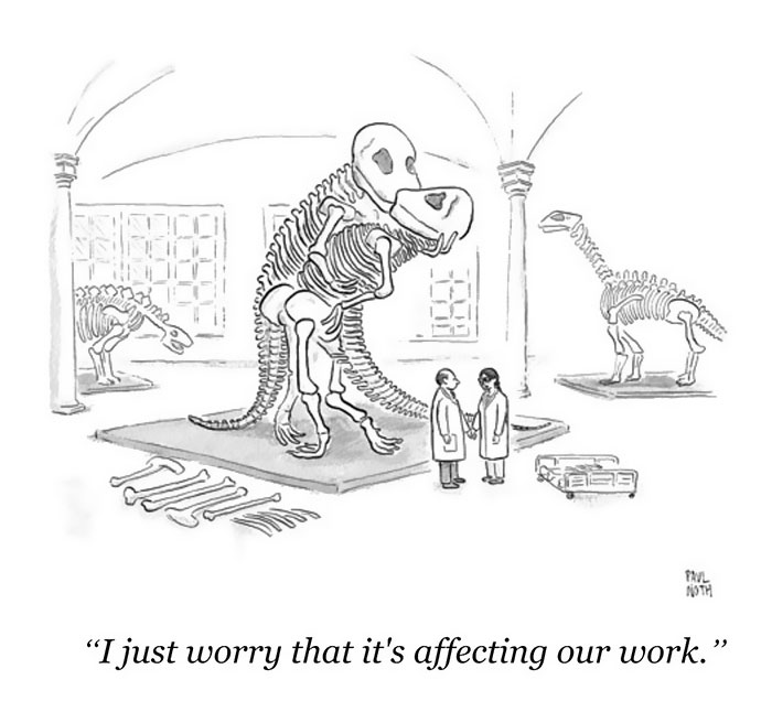 New Yorker Cartoons