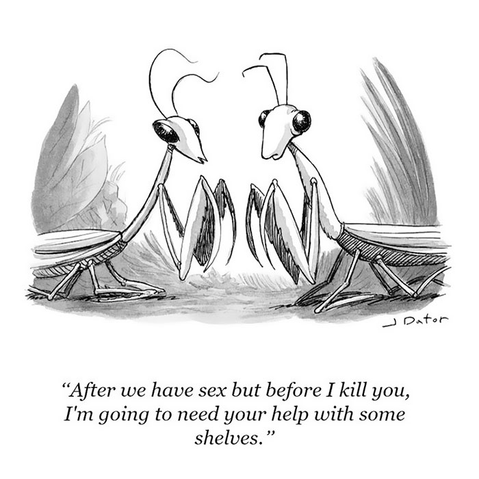 New Yorker Cartoons