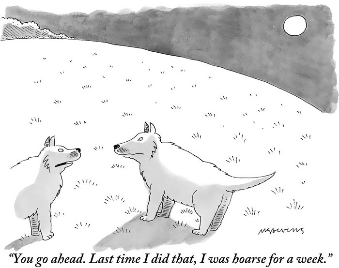 New Yorker Cartoons