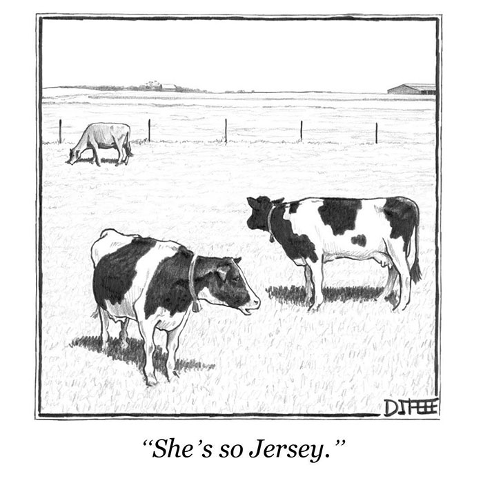 New Yorker Cartoons