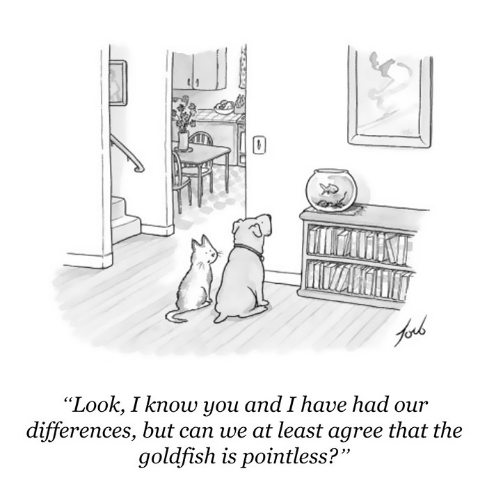 New Yorker Cartoons