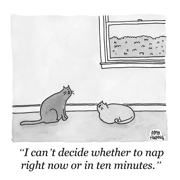 New Yorker Cartoons