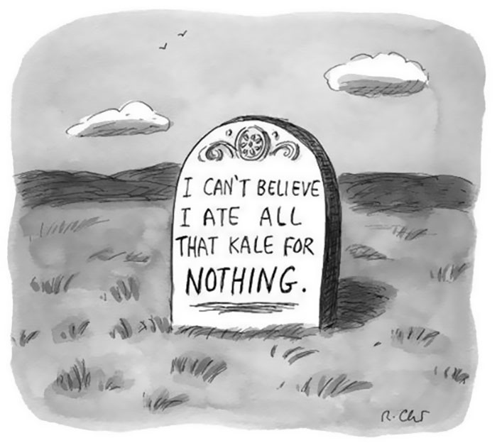 New Yorker Cartoons