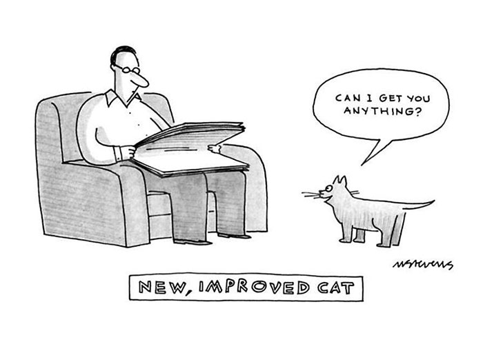 New Yorker Cartoons