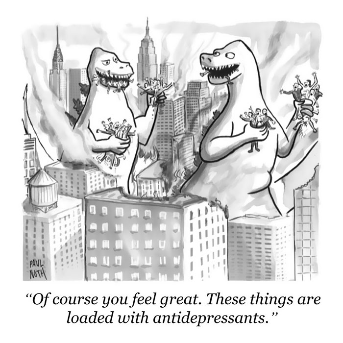 New Yorker Cartoons