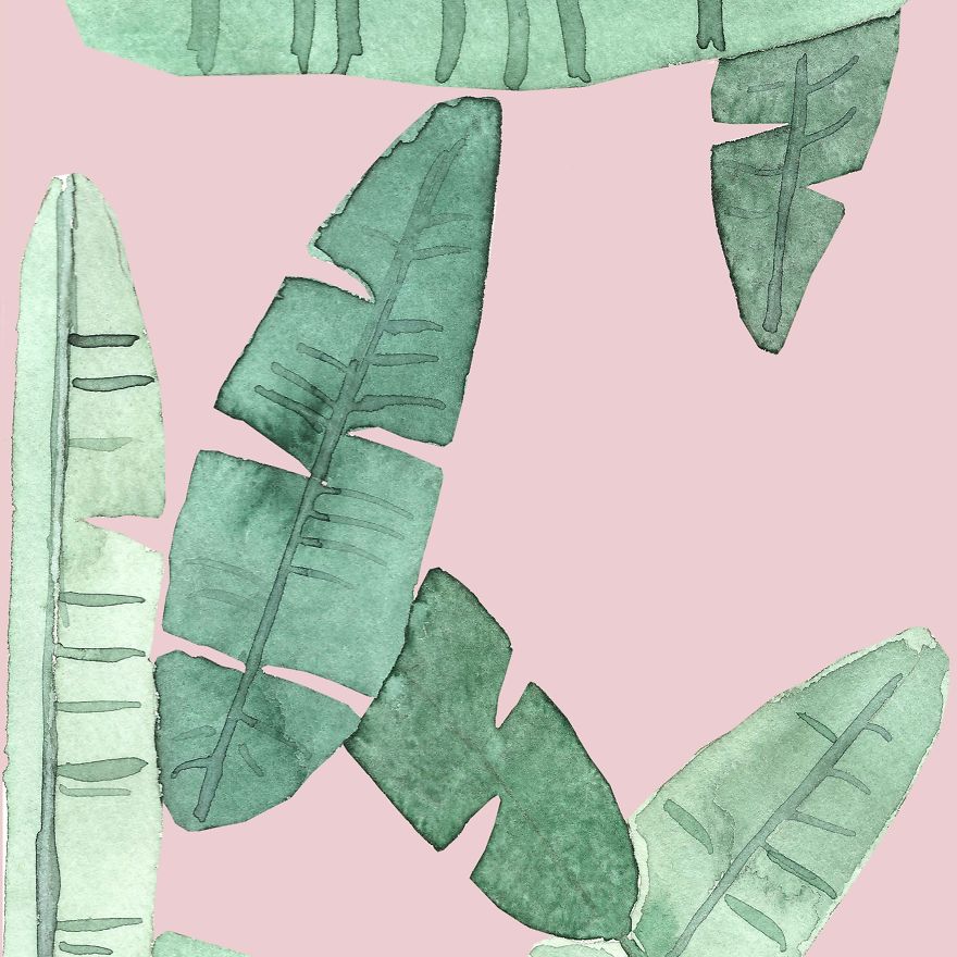 I Create Floral Illustrations