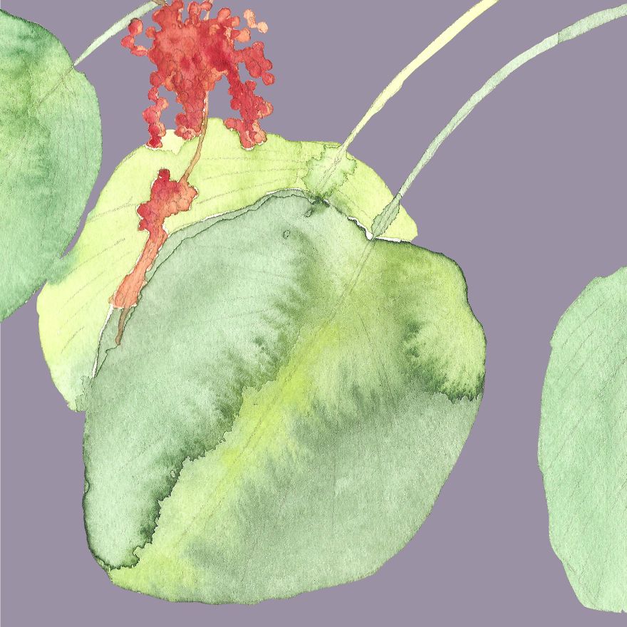 I Create Floral Illustrations