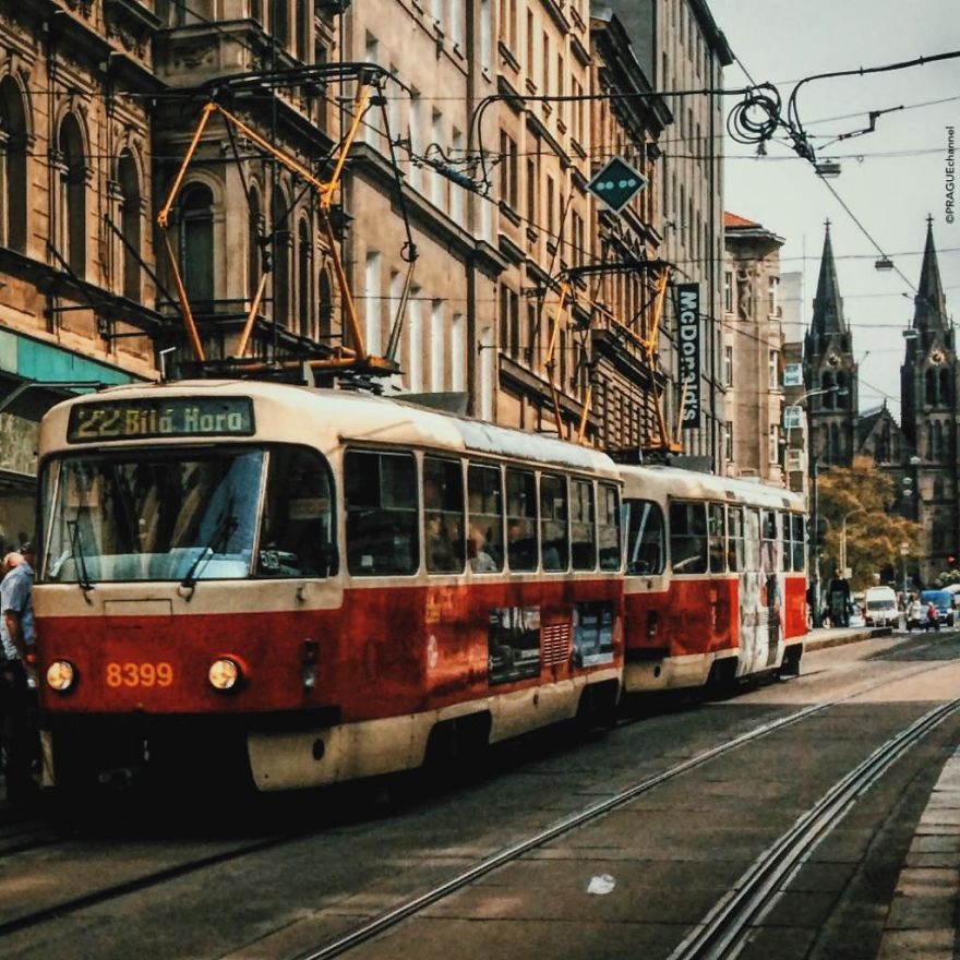 My Little Prague My Little Prague