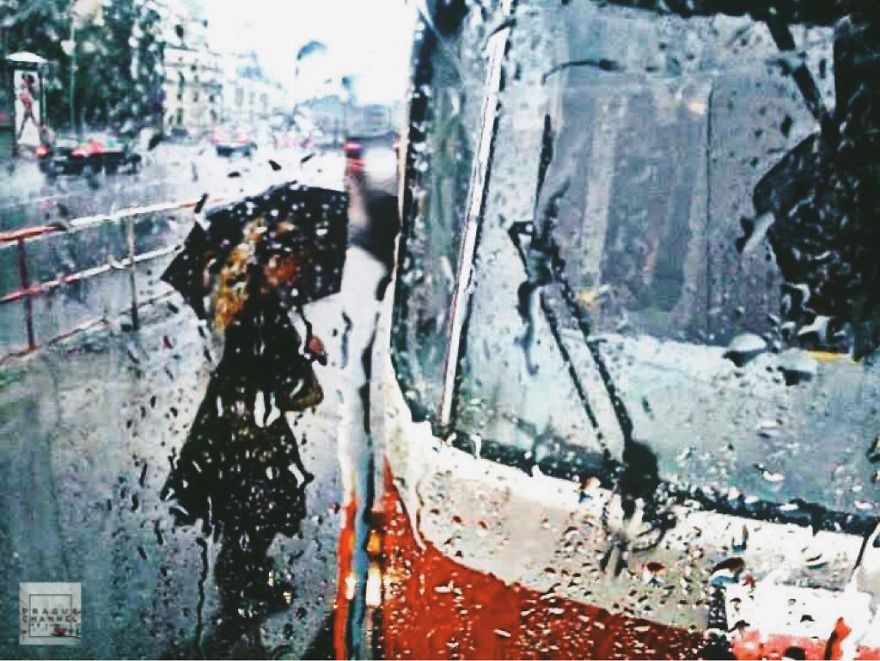 My Little Prague My Little Prague